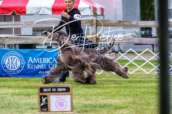 20190523-DSC06885