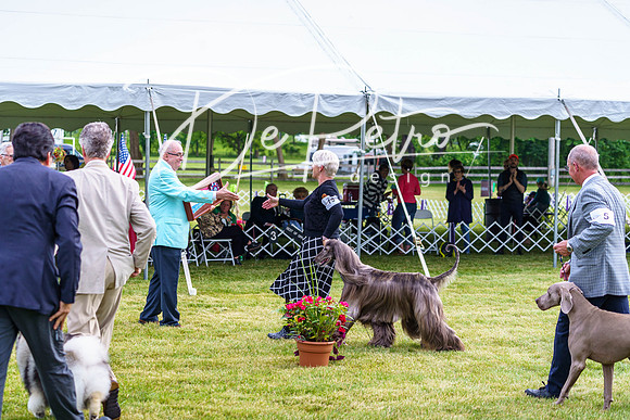 20190523-DSC07446