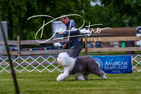 20190523-DSC07049
