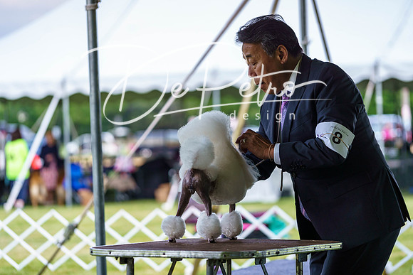 20190523-DSC07126
