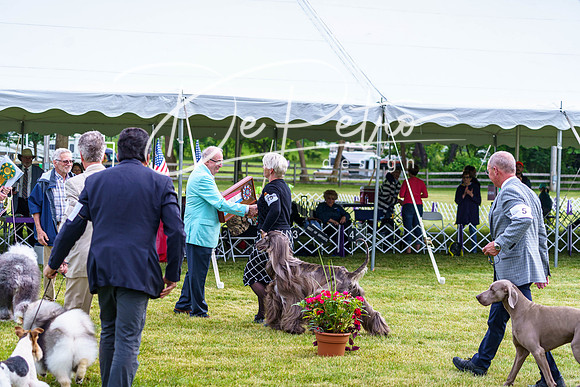 20190523-DSC07451