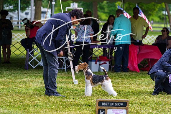 20190523-DSC07359