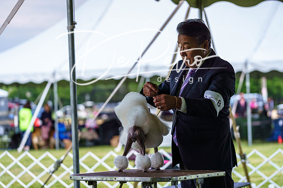 20190523-DSC07124