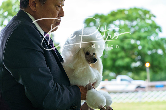 20190523-DSC07115