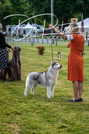 20190523-DSC07326