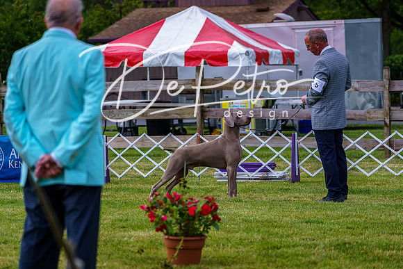 20190523-DSC07256