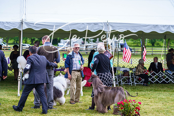 20190523-DSC07464