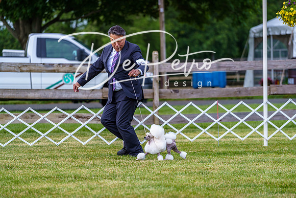 20190523-DSC07166