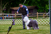 20190523-DSC07035