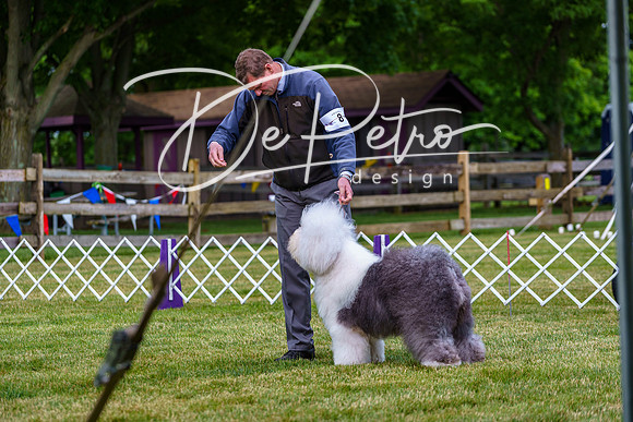 20190523-DSC07035