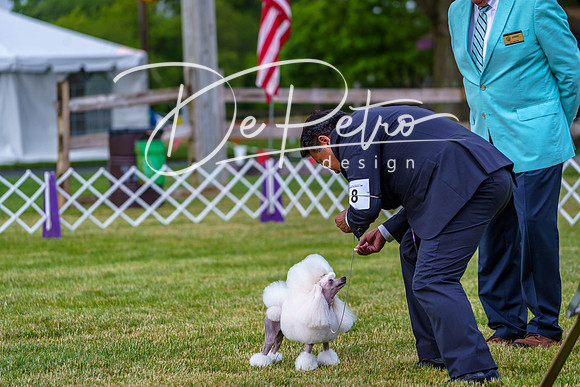 20190523-DSC07144