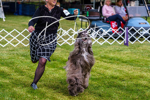 20190523-DSC07383