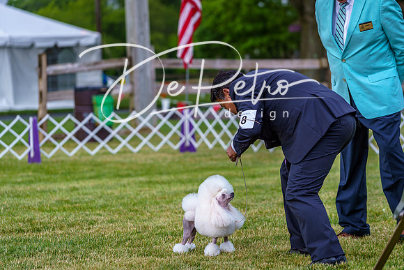 20190523-DSC07146