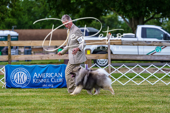 20190523-DSC07094