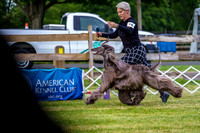 20190523-DSC06873