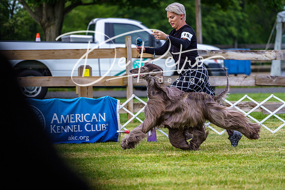 20190523-DSC06873