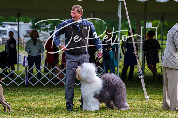 20190523-DSC07344