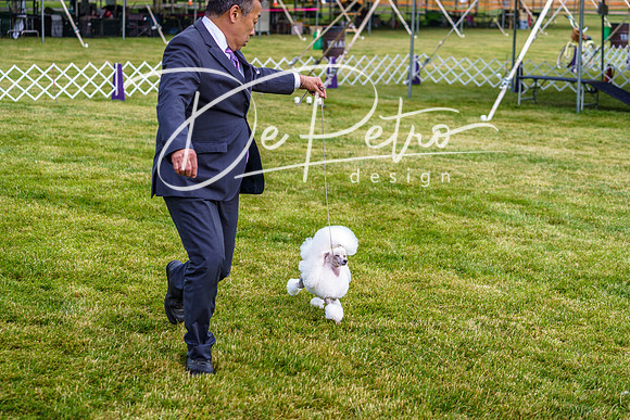 20190523-DSC07407