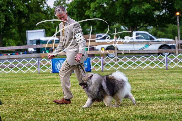 20190523-DSC07074