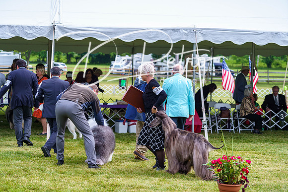 20190523-DSC07476