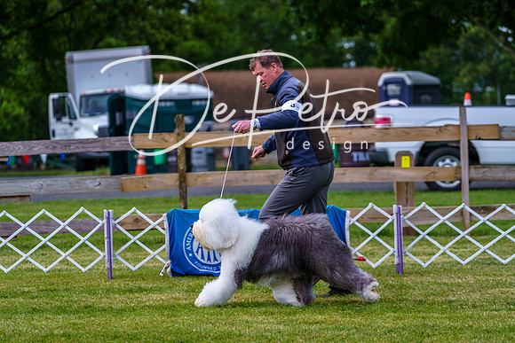 20190523-DSC07281