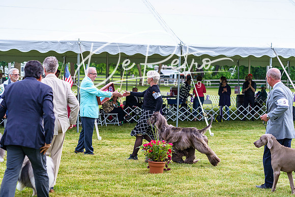 20190523-DSC07447