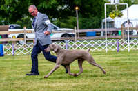 20190523-DSC06992