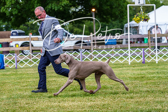 20190523-DSC06992
