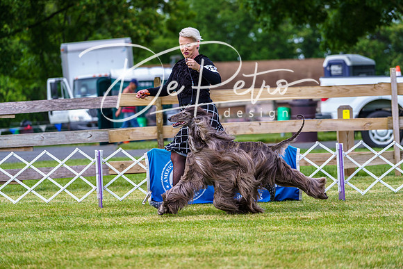 20190523-DSC07228