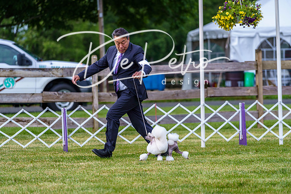 20190523-DSC07163