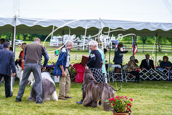 20190523-DSC07470