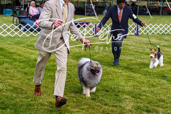 20190523-DSC07393