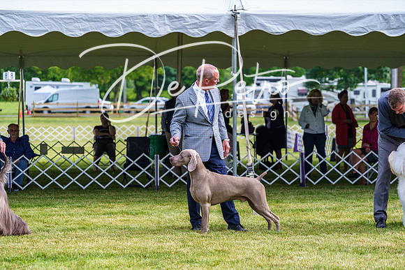 20190523-DSC07337