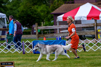 20190523-DSC06948