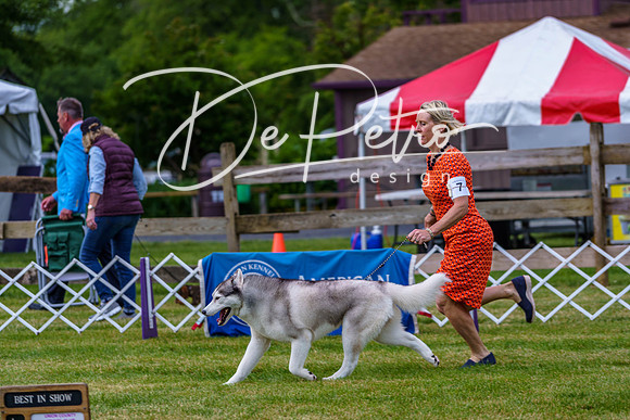 20190523-DSC06948