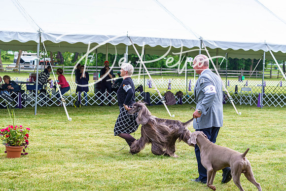 20190523-DSC07437