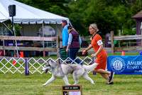 20190523-DSC06952