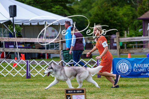 20190523-DSC06952