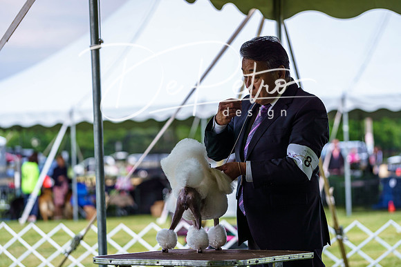 20190523-DSC07121