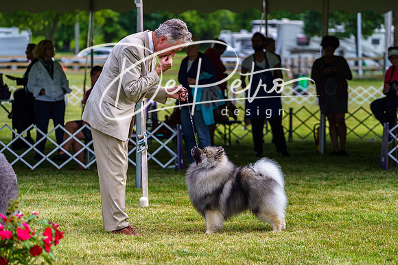20190523-DSC07353