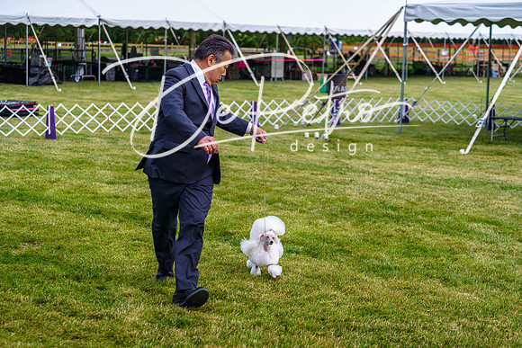 20190523-DSC07402