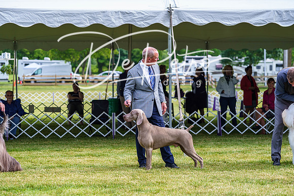 20190523-DSC07335