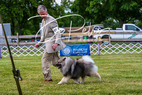 20190523-DSC07076