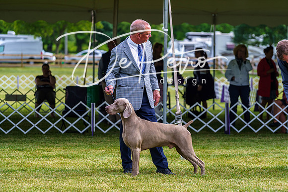 20190523-DSC07342