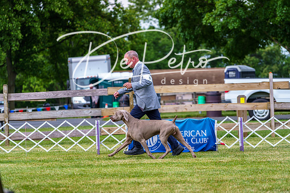 20190523-DSC07030
