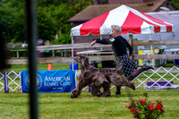 20190523-DSC06981