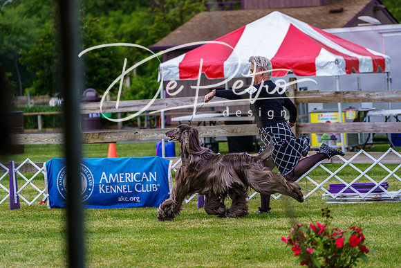 20190523-DSC06981