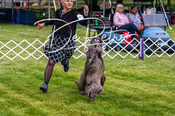 20190523-DSC07379
