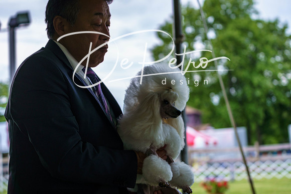 20190523-DSC07111