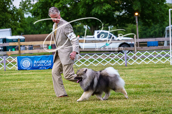 20190523-DSC07072